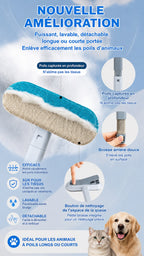 Présentation des éléments et de l’utilisation de la brosse anti-poils