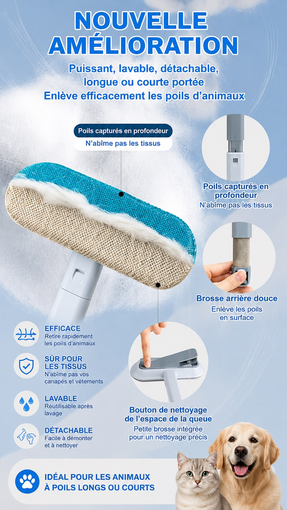 Présentation des éléments et de l’utilisation de la brosse anti-poils