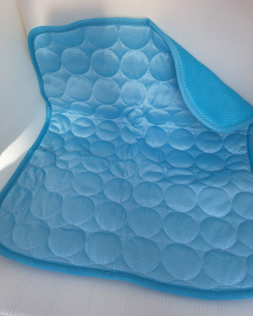 Tapis fraîcheur bleu pour chien et chat, avec bordure bleue